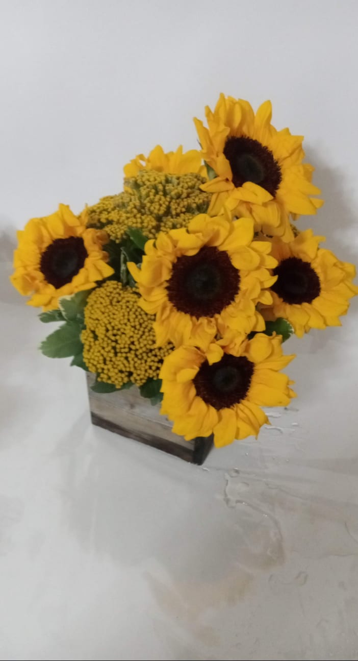 Birthday and celebration flower arrangement 24 by Fredericksburg Florist