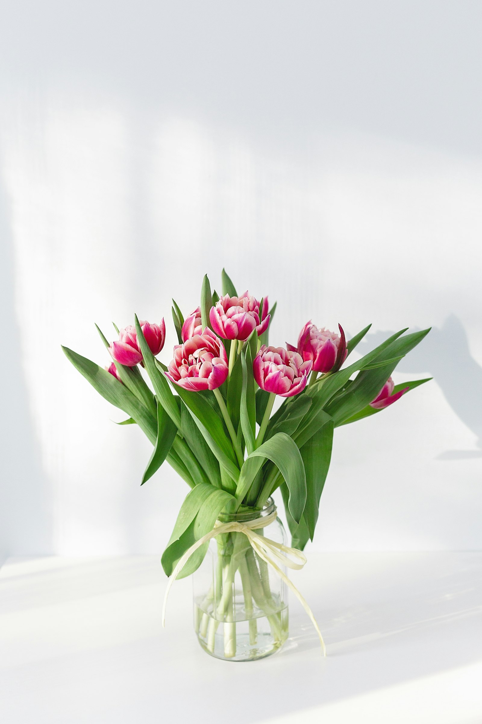 Sympathy and get well flowers